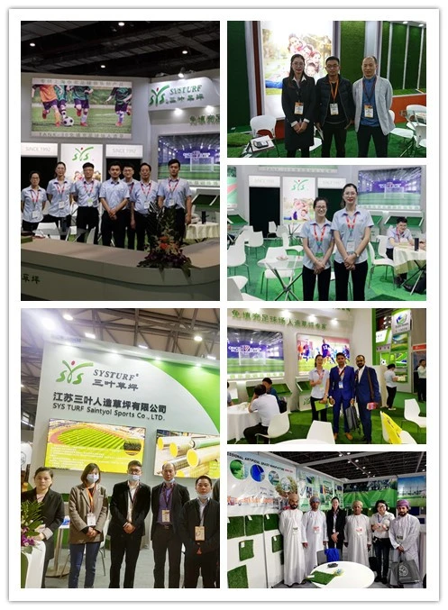 Artificial Synthetic Grass Fake Grass for Mini Soccer Football Sports Futsal Mlutifunction with SGS Certified